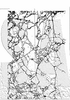 Tim Holtz Stampers Anonymous -Shattered Stamp