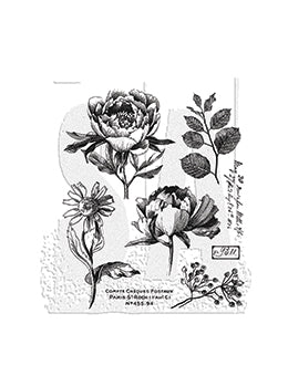 Tim Holtz - Stampers - French Garden
