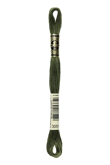 DMC Embroidery Floss - 8 strand - 3051 Forest Green