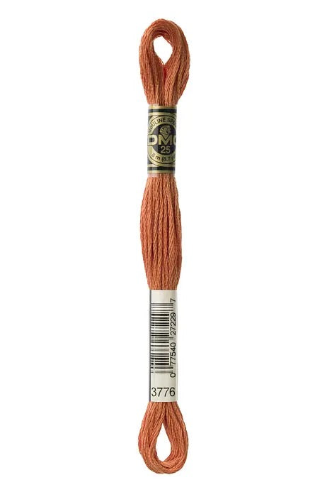 DMC Embroidery Floss - 8 strand - 3776 Nut Brittle