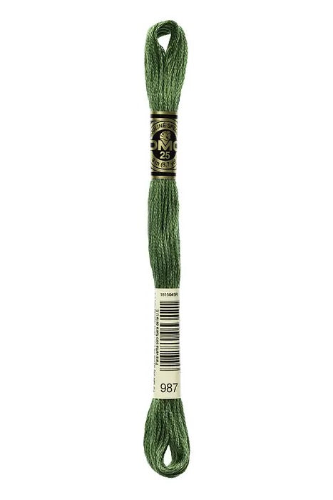 DMC Embroidery Floss - 8 strand - 987 Basil