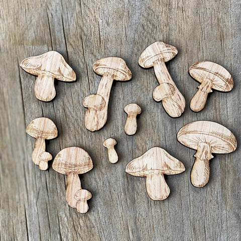 Mixed mushroom plywood pack
