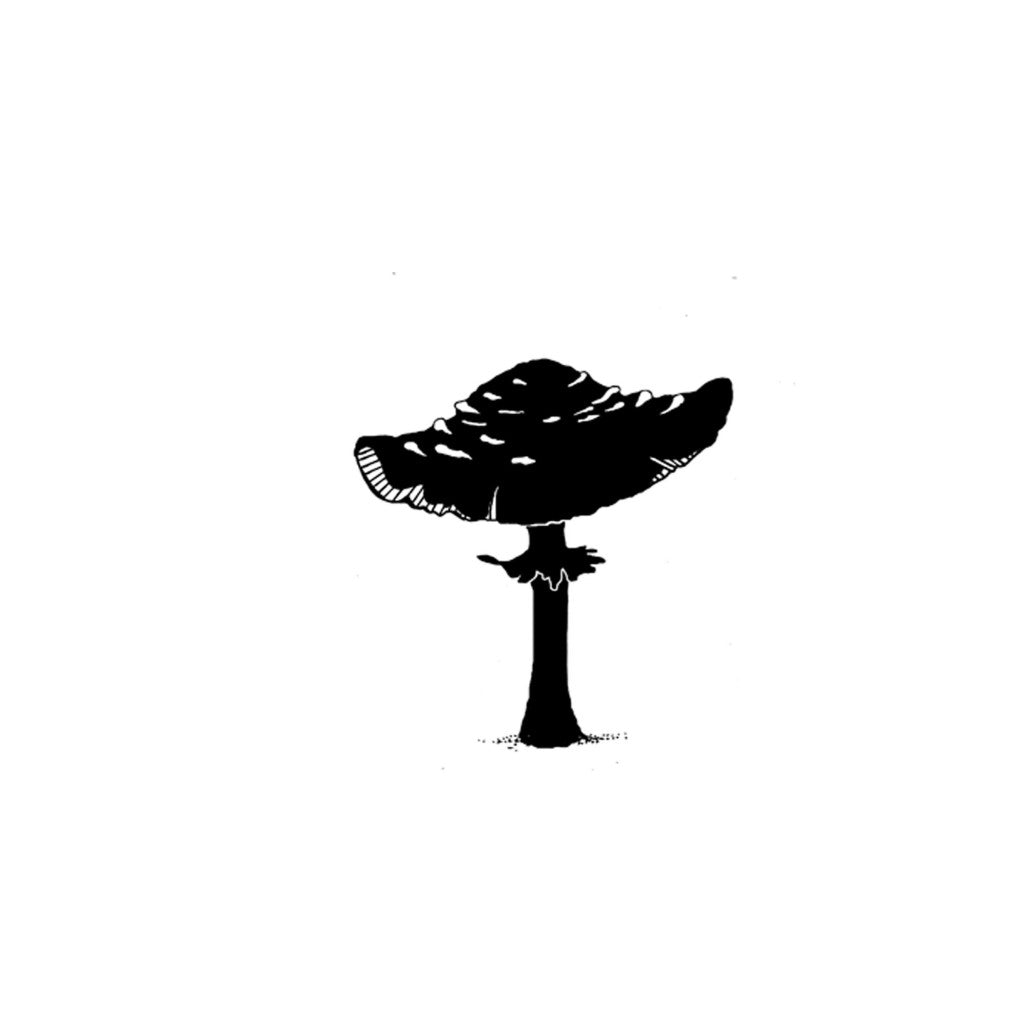 Lavinia Stamps - Toadstool Mini