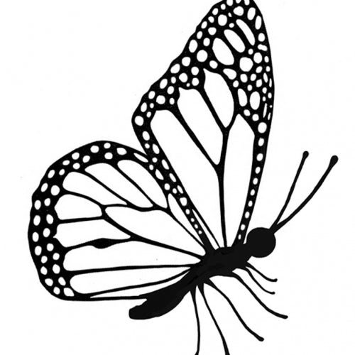 Lavinia Stamps -Flutterby Mini