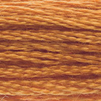DMC Embroidery Nutmeg 976