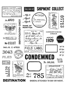 Tim Holtz - Stampers Anonymous - Field Notes stamp