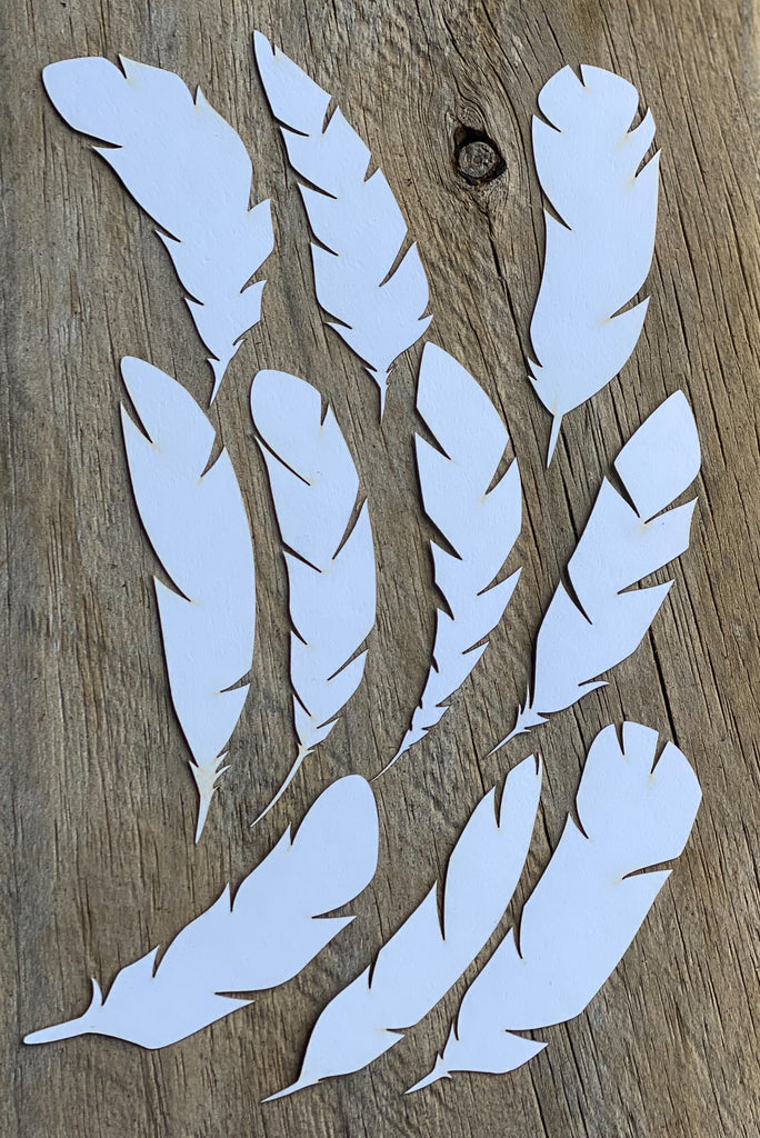 10 pack card stock feathers