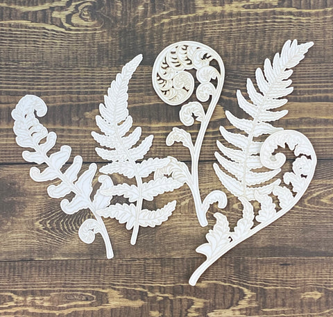 Ferns engraved  Large - 5 pack