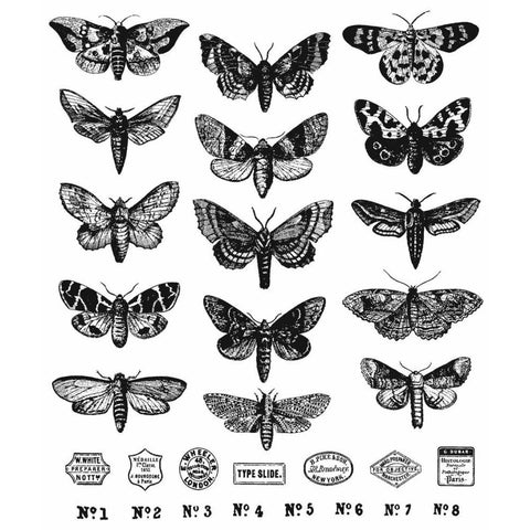 Tim Holtz - Stampers Anonymous - Moth Study